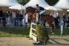 Foto: Markus Merschformann mit Cornet´s Cambrigde