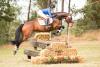 Foto: Eine Aspirantin aus „bestem Hause“: Mit Nr. 22 Butt´s Avalon betritt die jüngere Vollschwester zu Butts Aiden (jetzt: Little Fire / William Fox-Pitt) den Auktionsring.