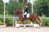 Foto: Quality by Design mit Maria Wagner im Sattel