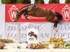Foto: Preisspitze der Online-Auktion: Chuck Norris v. Cornet Obolensky - Fotograf: Reckimedia