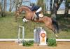 Foto: Kat-Nr. 27 – Chrysopras v. Cascari – Brandenburger / Wallach, *2009 - Fotograf: Hubert Fischer