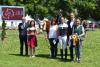 Foto: 3 Mustangs und junge Serne - Fotograf: TS-Foto