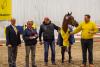 Foto: Reitpony-Siegerhengst Deezer mit dem seinem Besitzer Adolf Theo Schurf (3.v.l.) und seinem Ausbilder Lars Langenhan (r.). Es gratulieren der 1. Vorsitzende des Ponyverbandes Hannover, Joachim Völksen (l.) und Detlef Schwolow (2.v.l.), Mitglied im Vorstand Zucht der Deutschen Reiterlichen Vereinigung (FN) - Fotograf: Tanja Becker