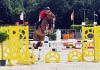Foto: Der fünf Jahre alte Hengst Paganini von Perigueux gewann mit Tabias Meyer bei Verden International die Qualifikation zum Hannoveraner Springpferdechampionat - Fotograf: Rüchel
