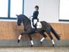 Foto: Despacito - Don Frederico - Fotograf: Hubert Fischer 