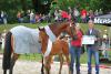 Foto: Siegerfohlen von Hermes de Lux-Cornet Obolensky mit dem Gratulanten Ludger Beerbaum (re.) - Fotograf: Tanja Becker