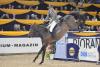 Foto: Ludger Beerbaum und Chaman - Fotograf: Karl-Heinz Frieler