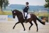 Foto: Ponysport beim RFV Rot am See - Fotograf: Frau Silke Klewitz-Seemann Fotoagentur Dill