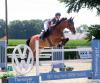 Foto: Ercken BU - Siegten im finale S-Springen**: Antonia Ercken (Herten) und Falitha Sheila - Fotograf: Ercken