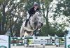 Foto: Der 5-jährige Boom von Emerald x Cassini I ging in den Stall eines jungen und sehr erfolgreichen Springreiters aus Baden-Württemberg - Fotograf: Maik Wallraffen 