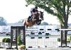 Foto: Der siebenjährige Cornet Obolensky-Sohn Crazy in Love ist eines der 20 Top-Nachwuchstalente bei der 18. Internationalen Springpferdeauktion von Holger Hetzel - Fotograf: Walraffen