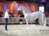 Foto: Sensationell - Fotograf: Hartwig