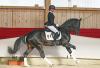 Foto: Faboulous Boy - Fotograf: Carola Knoll