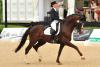 Foto: Siegerin Nicole Casper im Sattel von Birkhof's Don Diamond - Fotograf: a-focus altenhofer