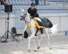 Foto: Glücksmomente in Aachen - in der Soers werden vom 27. - 29. September die besten Arabischen Pferde präsentiert und Champions gekürt - Fotograf: Sirid Hahn