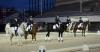 Foto: Die Reitchampionate beim Nationalen VZAP-Championat im Rahmen des All Nations Cup in Aachen - das Hauptereignis des Jahres für Vollblut-Araber und Arabisches Partbred - Fotograf: S. Hahn