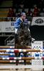 Foto: Um 37 Hundertstel geschlagen - Solid Gold Z und Christian Ahlmann (GER) wurden in 43,59 Sekunden Zweite im equitron-pro Grand Prix bei der Neuro Socks Amadeus Horse Indoors - Fotograf: © EQWO.net