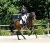 Foto: Bundeschampionats-Qualifikation Dressur auf dem Gelände der Hengststation Maas J. Hell. Hier Alexandra Bimschas aus Pinneberg mit Benedicte CQ - Fotograf: Archiv/ Hell