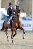 Foto: Ihm wird eine große Zukunft im internationalen Springsport vorausgesagt: Wunderkind Bertram Allen aus Irland kommt ins GHPC. - Fotograf: Tomas Holcbecher