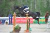 Foto: Das schwerste Springen des Tages holte sich einmal mehr Bertram Allen (IRL) mit seinem Gold Tour Sieg auf Zenzation - Fotograf: Tomas Holcbecher & Hervé Bonnaud
