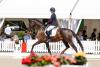 Foto: Hannoveraner Championesse Barbor BS wurde mit Sina Aringer in Warendorf Bundeschampionesse der dreijährigen Stuten und Wallache - Fotograf: Hannoveraner Verband
