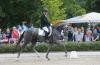 Foto: DSP-Reitpferdechampionesse 2019 und DSP-Stute des Jahres 2020, Barbora von Belantis - Fotograf: Plaf Krenz