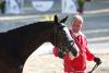 Foto: Barmenia (Casall x Nekton) - Fotograf: Krisztian Buthi