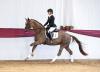 Katalog-Nr. 1 in der Online-Auktion „Marbacher Frühjahr 2026“: Bella Donna. v. Be Sure a.d. Fleur de Soleil v. Floriscount - Fotograf: Hubert Fischer