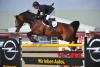 Foto: Diamond Tour Sieger Marc Bettinger (GER) mit Bacardi. - Fotograf: Hervé Bonnaud