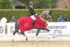 Foto: Trakehner Championesse der vierjährigen Reitpferde war 2023 die Stute Biennale v. High Motion, vorgestellt von Luisa Erichsen - Fotograf: Stephan Bischoff