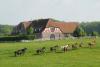 Foto: Gestüt Altefeld