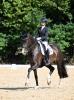 Foto: Birkhof`s Zieta FBW unter Jessica von Bredow-Werndl - Fotograf: Reiner Dill
