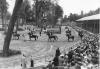 Foto: Ein Blick in 1952 – das erste Turnier auf dem neuen großen Platz, der heute noch alljährlich internationale Top-Reiter empfängt - Fotograf: Veranstalter