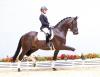 Foto: Frauenschwarm Brad Pitt v. Bretton Woods - Don Cardinale - Rohdiamant Fotograf: Ernst