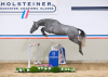Foto: Eng verwandt mit dem amtierenden Bundeschampion im Busch, Cascoblanco: Katalognummer 9, Cabalero v. Crack-Dinken - Fotograf: Janne Bugtrup
