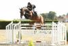 Foto: Captain Sparrow, *2007, Holsteiner, Cormint x Barnaul, “Bundeschampion 2012” - Fotograf: Maik Wallrafen 