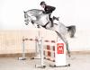 Foto: Kat. Nr. 4: Captain Zinnow v. Captain Olympic - Fotograf: Kube
