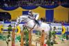 Foto: Caressini unter Christian Kukuk - Fotograf: Gesina Grömping/Equitaris