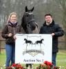 Foto: Carina und Fabian Scholz veranstalten die erste Sportpferde Scholz Auktion - Fotograf: Thoms Lehmann