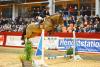 Foto: Erneut beim CSI Neustadt-Dosse - die Derby-Zweite Caroline Rehoff Pedersen aus Dänemark - hier mit Doolys- Fotograf: B. Placzek