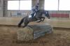 Foto: Olympiasieger Michael Jung mit Cestana beim Fremdreitertest - Fotograf: Sportfotografie Jäger