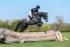 Foto: KN 2 Chac - Boom | Wallach *2021 v. Charthago Blue - Quidams Rubin - Fotograf: Robert Kraft