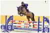 Foto: Chacarera, Kat. Nr. 6, v. Balou du Reventon - Quick Star, begeistert in der aktuellen Oldenburger Online Auktion - Fotograf: Gr. Feldhaus