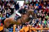 Foto: Chacco Blue, erfolgreiches Sportpferd und Leistungsvererber. Vater von vier Embryonen der Kollektion. - Fotograf: Arnd Bronkhorst Photography