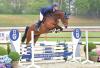 Foto: Nachwuchstalent: Chiara v. Contendro I - Lord Pezi - Argentinus - Fotograf:Gr. Feldhaus)