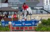 Foto: Oldenburger Fohlenkollektion: Weltmeisterin Clinta/McLain Ward, USA, lässt grüßen - Fotograf: Lafrentz