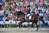 Foto: Der Vize-Bundeschampion Coal Diamond unter Jessica Andersson/SWE - Fotograf: Tanja Becker