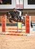 Foto: Sieger bei den Vierjährigen im Sporttest: Comme Cavelle v. Comme Prévu - Fotograf: Hubert Fischer