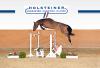 Foto: Auktionsspitze Kat.-Nr. 10 Call me Scopy - Fotograf: Holsteiner Verband