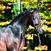 Foto: Conthargos - Fotograf: Mark Gr.Feldhaus